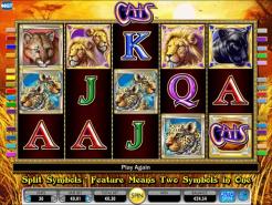 Play Cats Slots now!