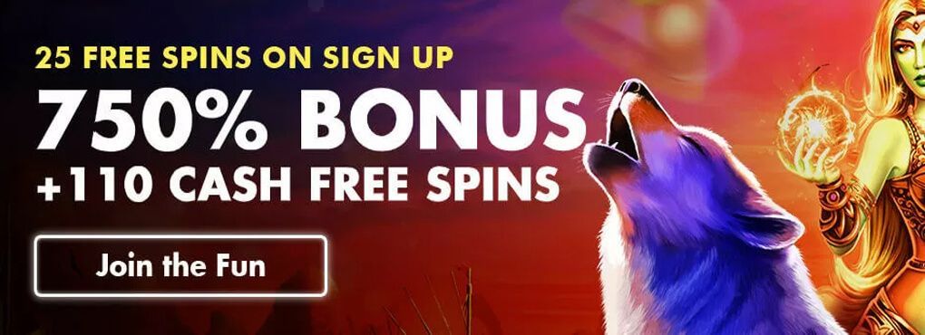 Winward Casino Bonus Codes
