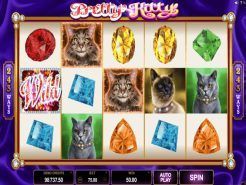 Pretty Kitty Slots