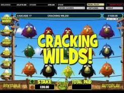 Birdz Slots